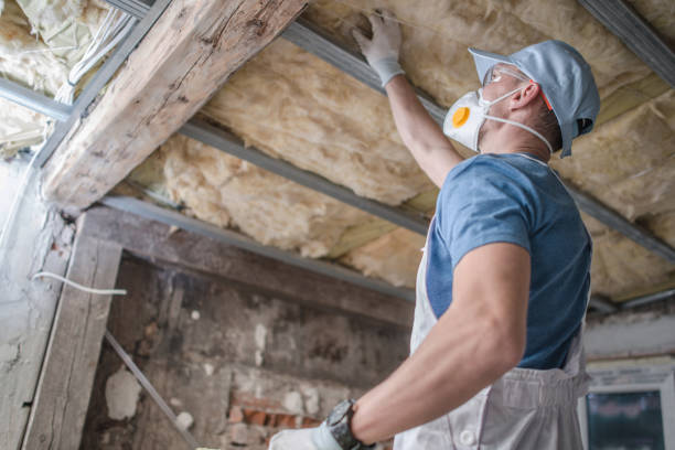 Best Insulation Maintenance and Repair in Cocoa West, FL