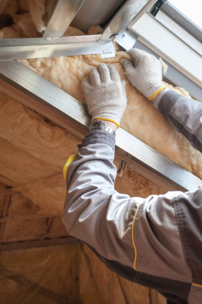 Best Insulation for Specific Applications in Cocoa West, FL